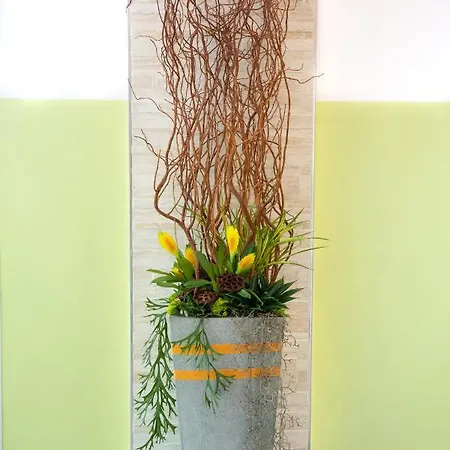 Daire K Torri Del Benaco