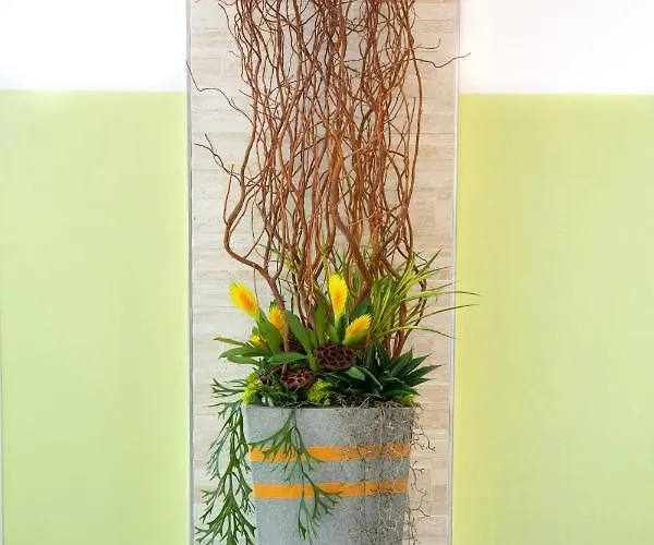 Appartement K Torri Del Benaco